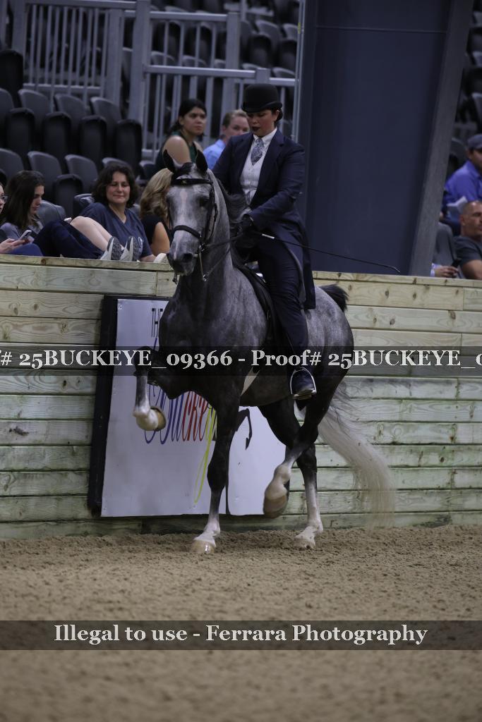 Proof 25BUCKEYE_09366
