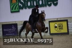 25BUCKEYE_09375 proof