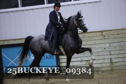 25BUCKEYE_09384 proof