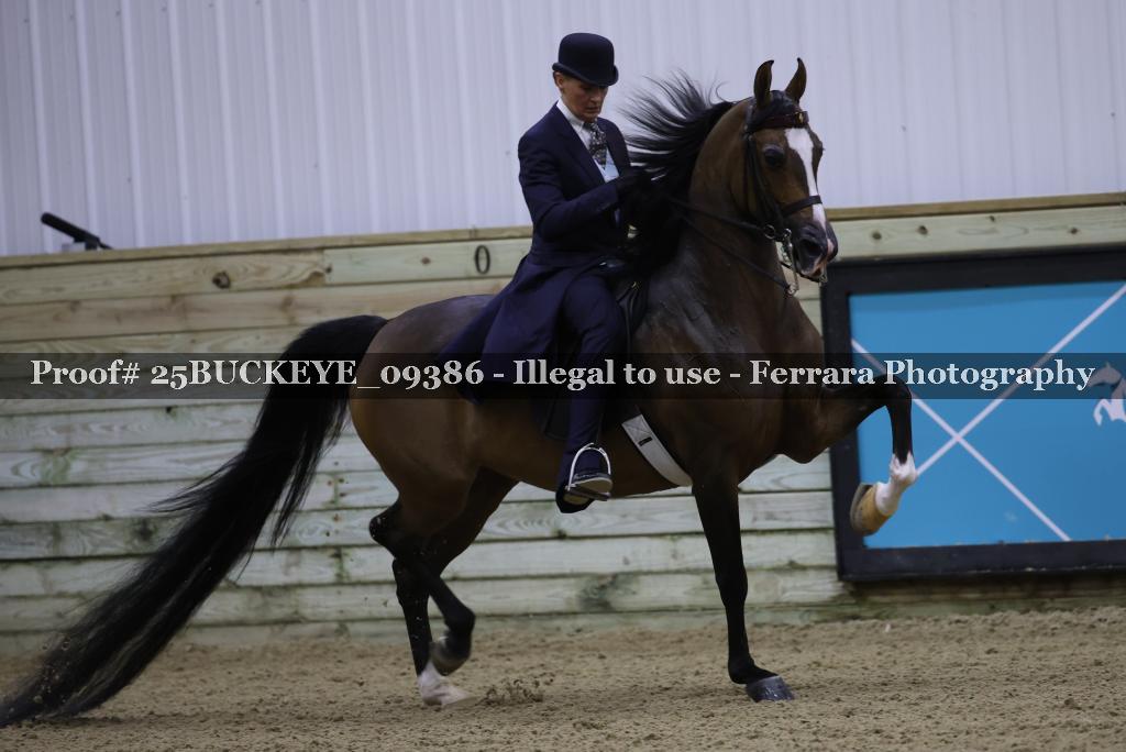 Proof 25BUCKEYE_09386