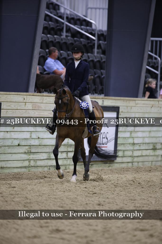 Proof 25BUCKEYE_09443