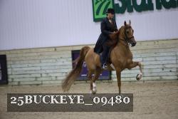 25BUCKEYE_09480 proof
