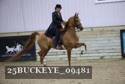 25BUCKEYE_09481 proof