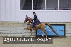 25BUCKEYE_09487 proof