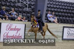 25BUCKEYE_09488 proof