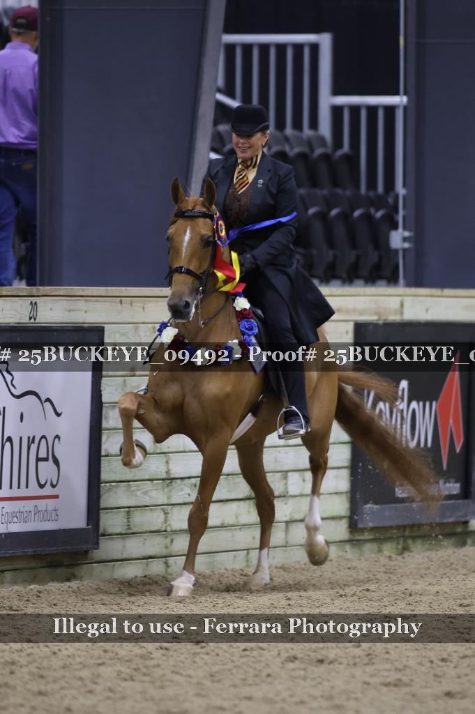 Proof 25BUCKEYE_09492
