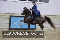 25BUCKEYE_09552 proof
