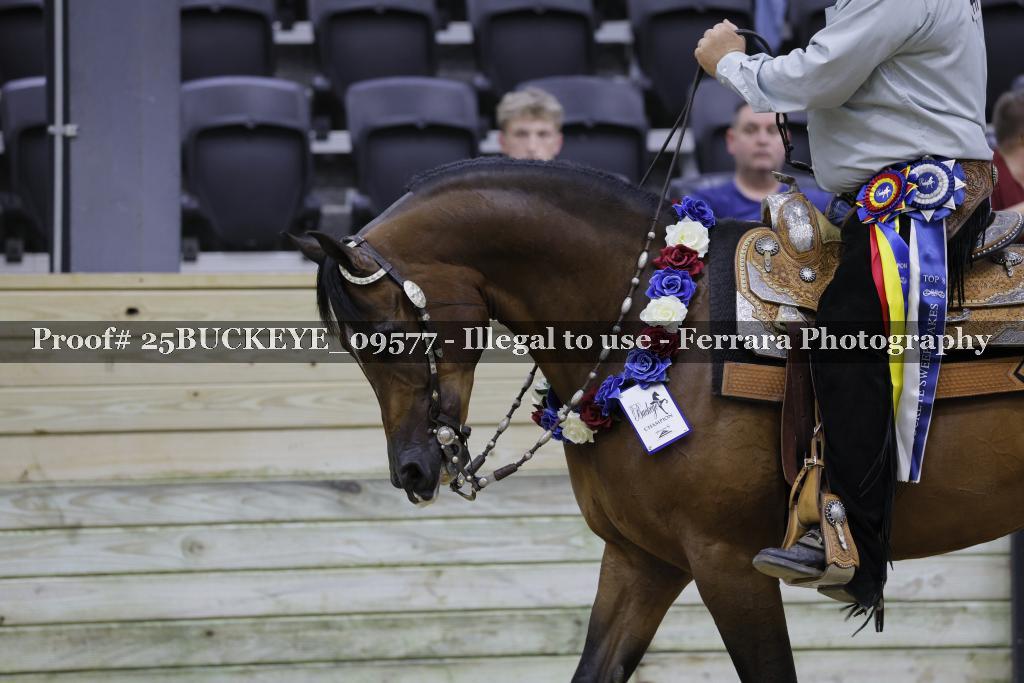 Proof 25BUCKEYE_09577