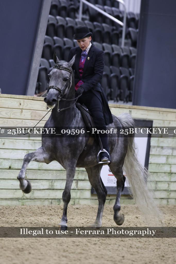 Proof 25BUCKEYE_09596