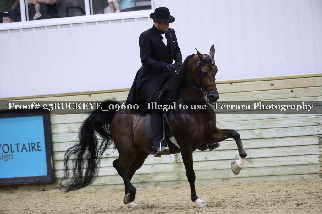 Proof 25BUCKEYE_09600