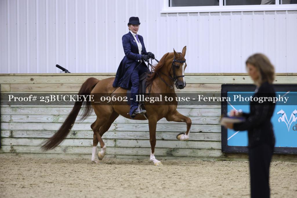 Proof 25BUCKEYE_09602