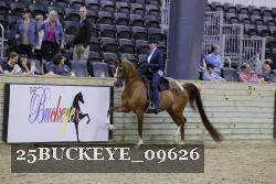 25BUCKEYE_09626 proof