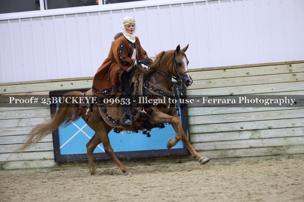 Proof 25BUCKEYE_09653
