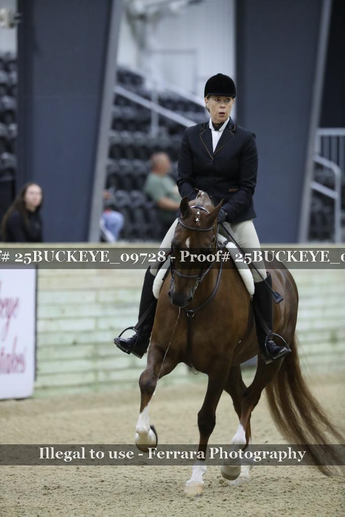 Proof 25BUCKEYE_09728