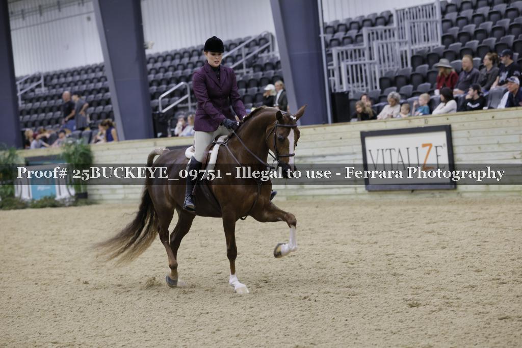 Proof 25BUCKEYE_09751
