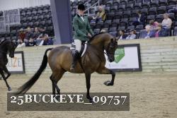25BUCKEYE_09757 proof