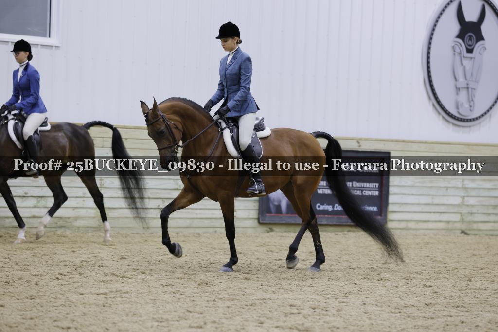 Proof 25BUCKEYE_09830