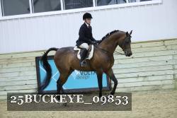 25BUCKEYE_09853 proof