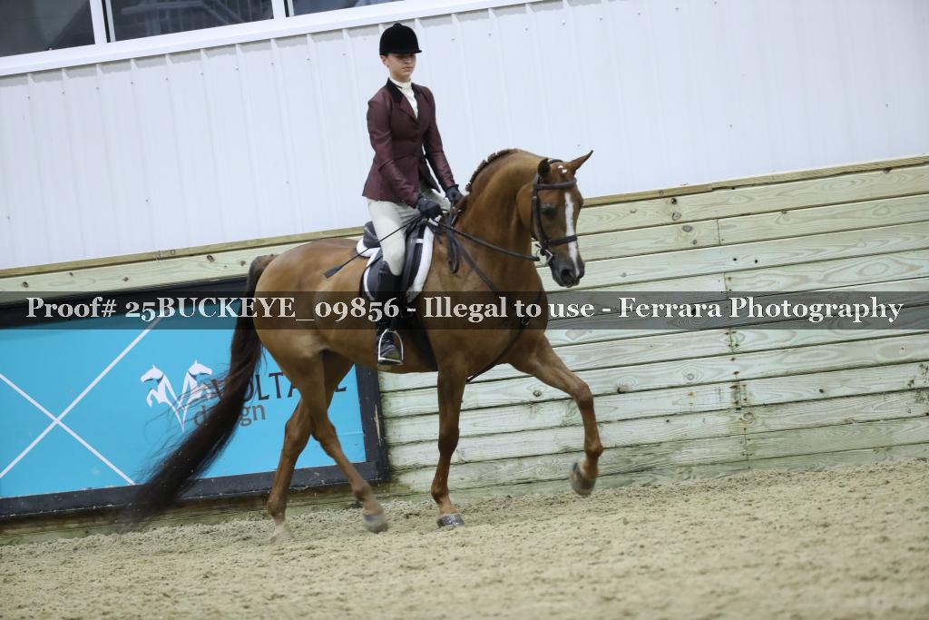 Proof 25BUCKEYE_09856