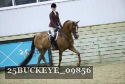 25BUCKEYE_09856 proof