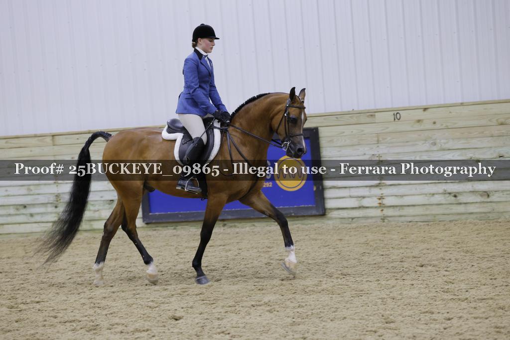 Proof 25BUCKEYE_09865