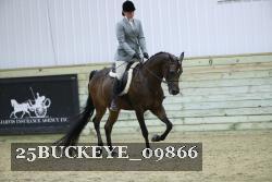 25BUCKEYE_09866 proof