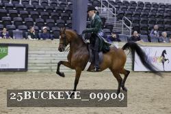 25BUCKEYE_09909 proof
