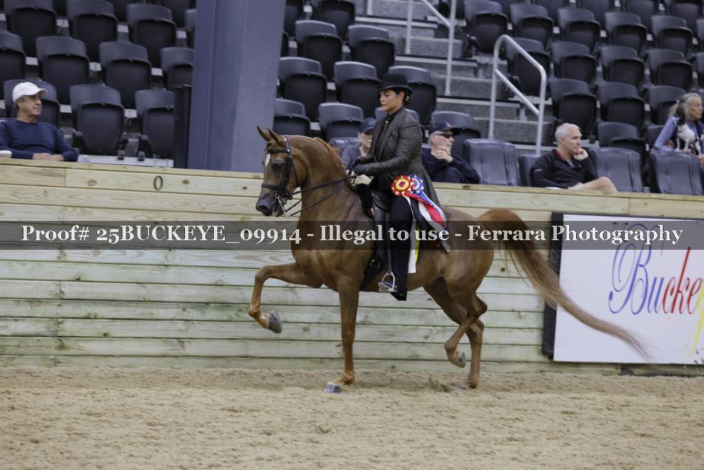 Proof 25BUCKEYE_09914