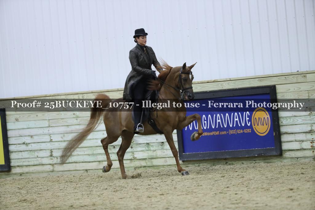 Proof 25BUCKEYE_10757