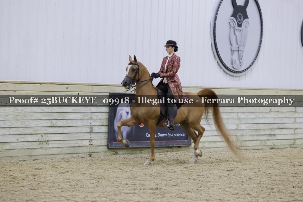 Proof 25BUCKEYE_09918
