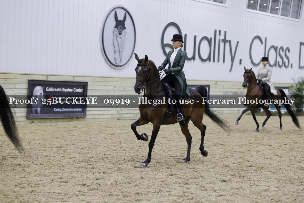 Proof 25BUCKEYE_09919