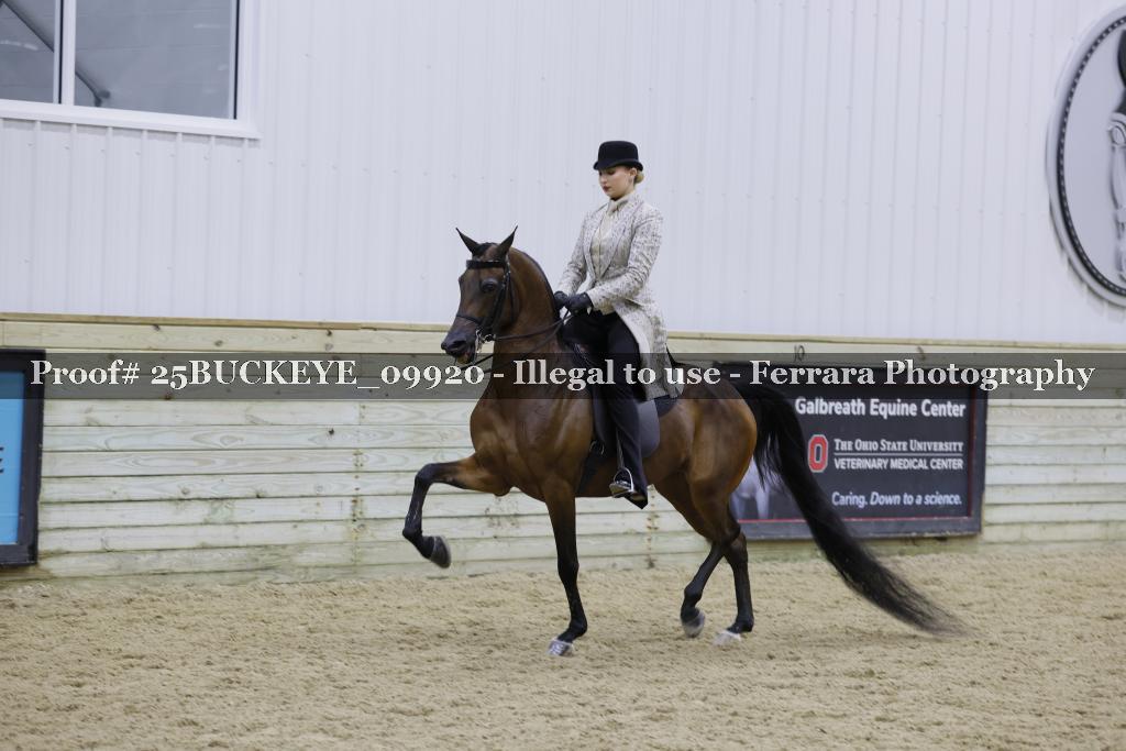 Proof 25BUCKEYE_09920