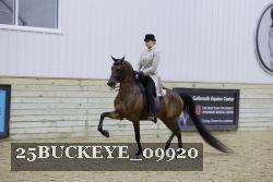25BUCKEYE_09920 proof