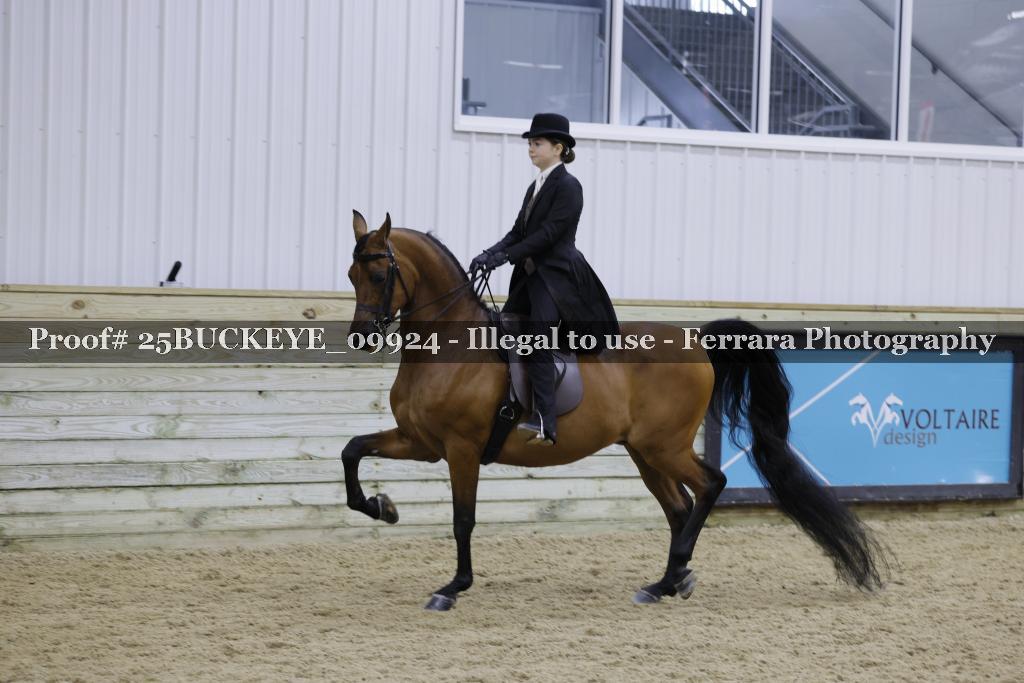 Proof 25BUCKEYE_09924