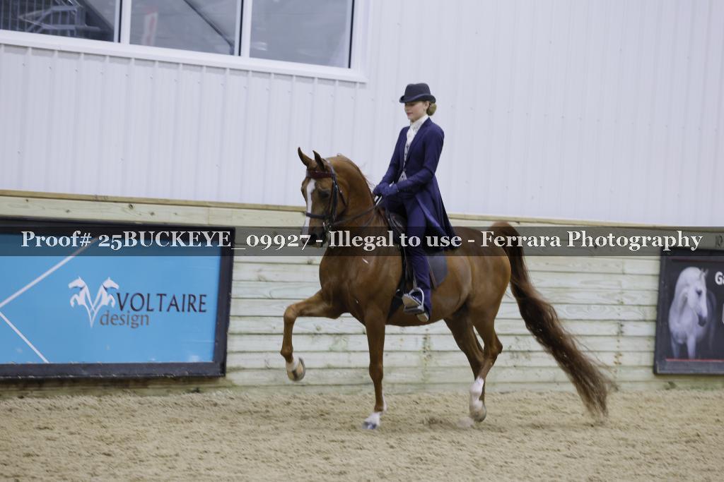 Proof 25BUCKEYE_09927
