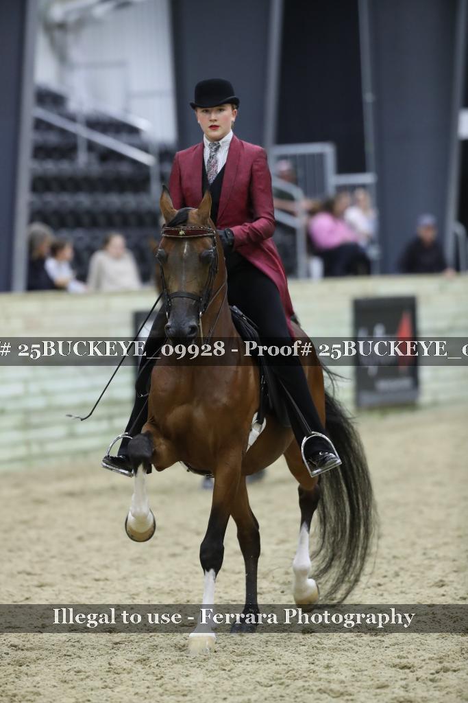 Proof 25BUCKEYE_09928