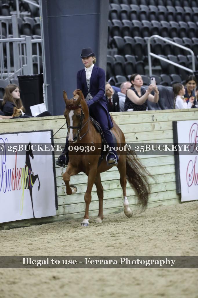 Proof 25BUCKEYE_09930