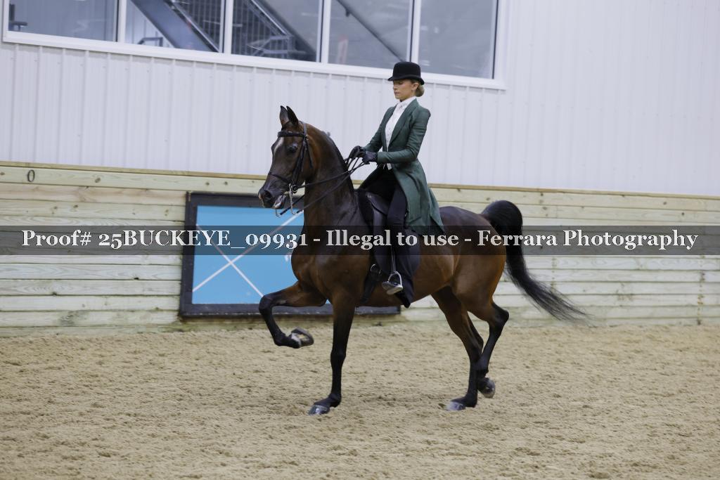 Proof 25BUCKEYE_09931