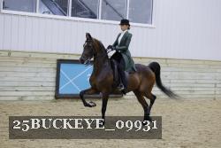 25BUCKEYE_09931 proof