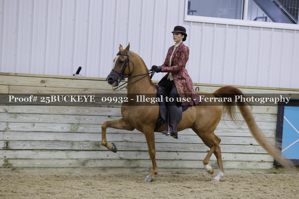 Proof 25BUCKEYE_09932