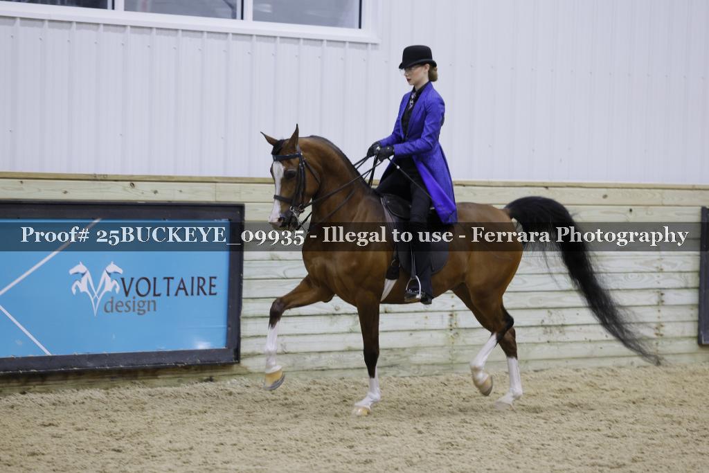 Proof 25BUCKEYE_09935