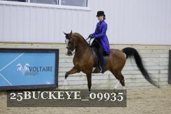 25BUCKEYE_09935 proof