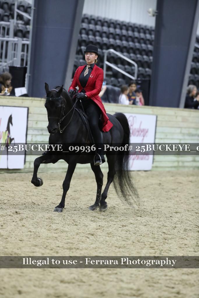 Proof 25BUCKEYE_09936