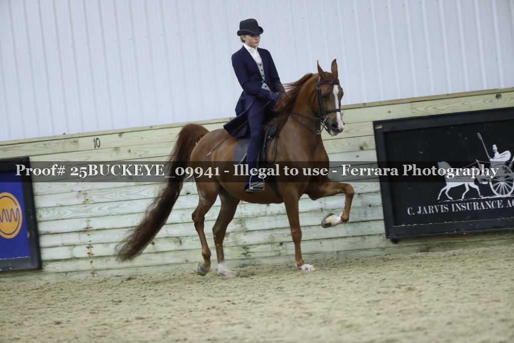 Proof 25BUCKEYE_09941