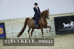 25BUCKEYE_09941 proof