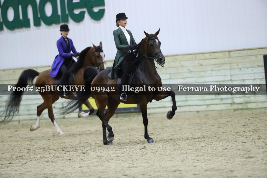 Proof 25BUCKEYE_09942