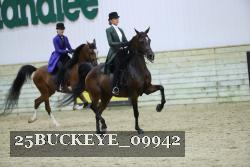 25BUCKEYE_09942 proof