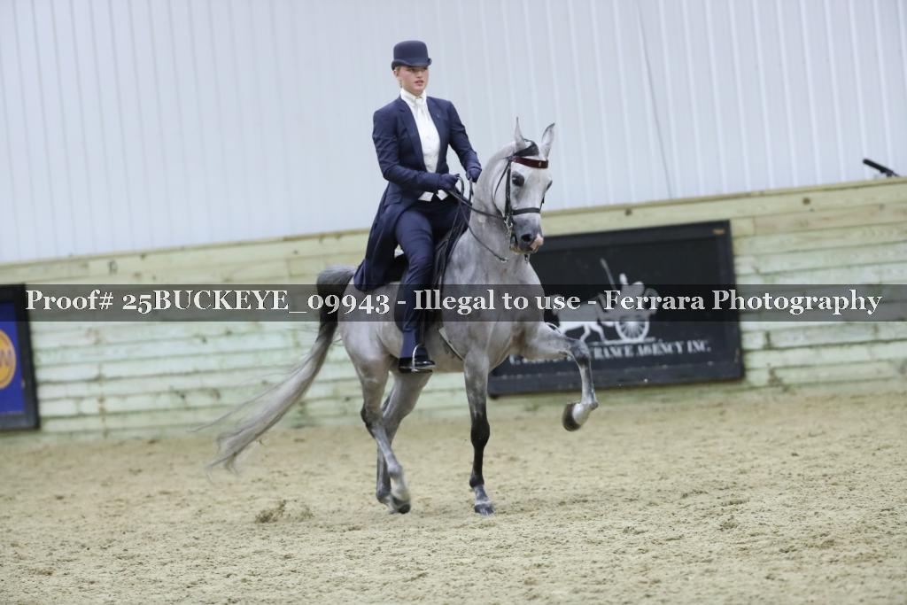 Proof 25BUCKEYE_09943