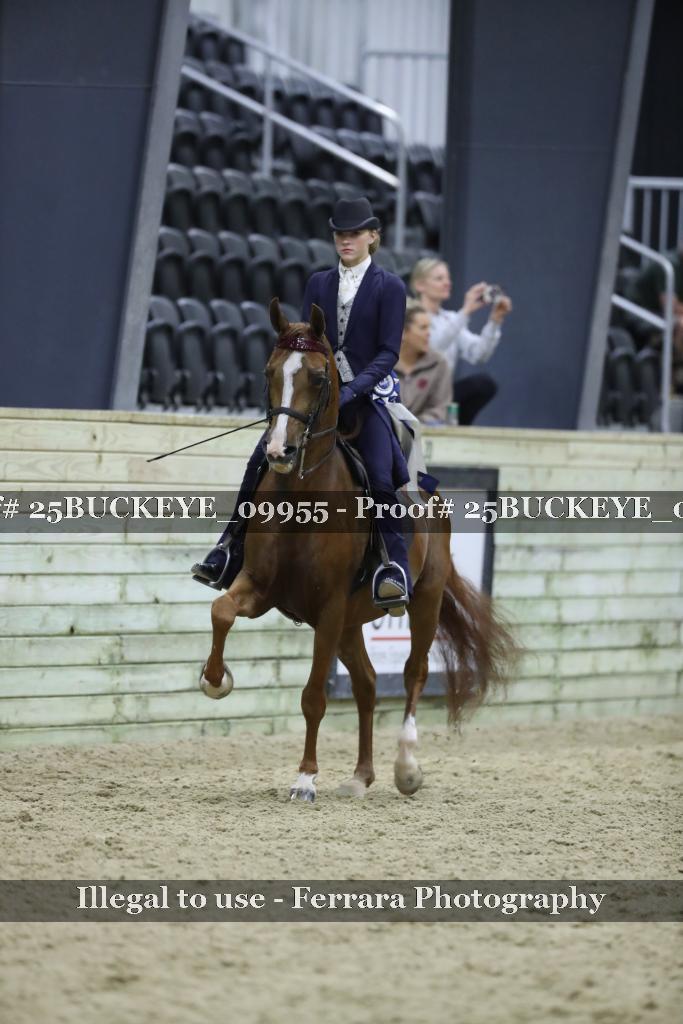 Proof 25BUCKEYE_09955