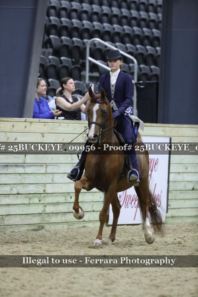 Proof 25BUCKEYE_09956